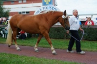 Pamela. Pro zv�t�en� klikn�te