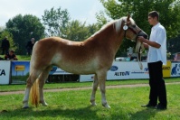 Elen. Pro zv�t�en� klikn�te