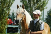 Angelique. Pro zv�t�en� klikn�te