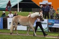 Cesy. Pro zv�t�en� klikn�te