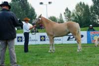 Nella. Pro zv�t�en� klikn�te