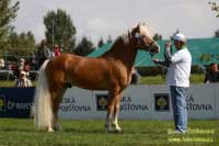 Nibelung. Pro zv�t�en� klikn�te