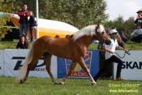 Ajax. Pro zv�t�en� klikn�te