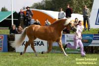 Aquavit. Pro zv�t�en� klikn�te