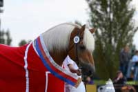 Ajax. Pro zv�t�en� klikn�te