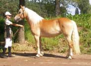 Angelique. Pro zv�t�en� klikn�te