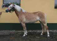 Cinda. Pro zv�t�en� klikn�te