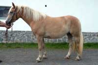 Dorotka. Pro zv�t�en� klikn�te