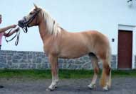 Eilin. Pro zv�t�en� klikn�te