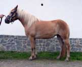 Lena. Pro zv�t�en� klikn�te