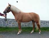 Renata. Pro zv�t�en� klikn�te