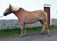 Sendy. Pro zv�t�en� klikn�te