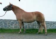 Sissy. Pro zv�t�en� klikn�te