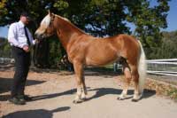 Adam. Pro zv�t�en� klikn�te