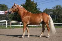 Adam. Pro zv�t�en� klikn�te