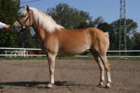 Calera. Pro zv�t�en� klikn�te