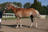 Lady. Pro zv�t�en� klikn�te