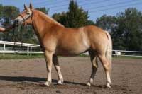 Nat�lka. Pro zv�t�en� klikn�te