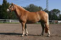 Son�ta. Pro zv�t�en� klikn�te