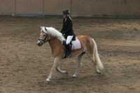 Clarina b�hem drezury. Pro zv�t�en� klikn�te