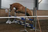 Son�ta p�i skoku ve volnosti. Pro zv�t�en� klikn�te