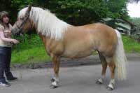 Doroty. Pro zv�t�en� klikn�te