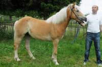 Elza. Pro zv�t�en� klikn�te