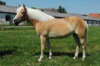 L�va. Pro zv�t�en� klikn�te