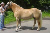 Linda. Pro zv�t�en� klikn�te