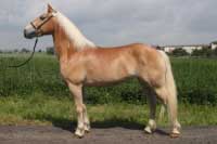 Lucky. Pro zv�t�en� klikn�te