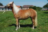 Metaxa. Pro zv�t�en� klikn�te