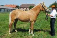 Nas�a. Pro zv�t�en� klikn�te