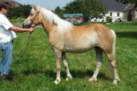 Nefrit. Pro zv�t�en� klikn�te