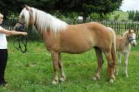 Orla. Pro zv�t�en� klikn�te