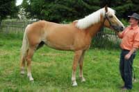 Sally. Pro zv�t�en� klikn�te