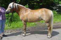 �arlota. Pro zv�t�en� klikn�te