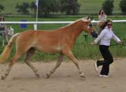 Emmeli. Pro zv�t�en� klikn�te