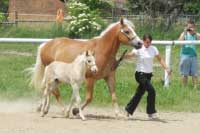 Nelson s matkou Netkou. Pro zv�t�en� klikn�te