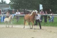 Carmenia s h��b�tem. Pro zv�t�en� klikn�te