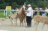 Elina. Pro zv�t�en� klikn�te