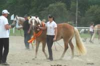 Carmenia a v pozad� Fairy. Pro zv�t�en� klikn�te