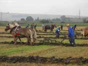 Sout� v orb�, v pop�ed� Zden�k Musil. Pro zv�t�en� klikn�te