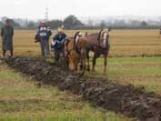 Mezi oraj�c�mi p�ry byly tak� klisny pana Taranzy. Pro zv�t�en� klikn�te