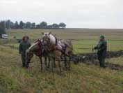 T�et� haflingsk� p�r v orb� - pan Dobrovoln� se Sv�tlanou a Leont�nkou. Pro zv�t�en� klikn�te