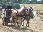 V�t�z vozatajsk� sout�e, Josef �ivn��ek. Pro zv�t�en� klikn�te