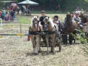 Druh� m�sto vybojoval Pavel �ivn��ek. Pro zv�t�en� klikn�te