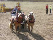 Franti�ek Dobrovoln� se ��astnil jak orby, tak vozatajsk� sout�e. Pro zv�t�en� klikn�te