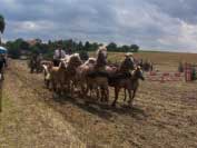 Slavnostn� pr�vod vyr�� do obce. Pro zv�t�en� klikn�te