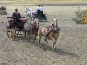 Zden�k Musil um� i netradi�n� z�p�e�e. Pro zv�t�en� klikn�te