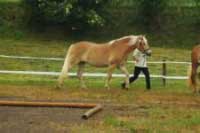 T�et� v kategorii 3-6 let�ch klisen, Nella. Pro zv�t�en� klikn�te